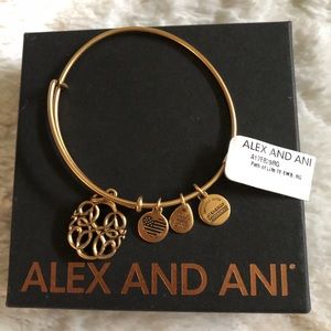 Limited Edition, Alex & Ani Bracelet